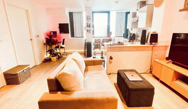 Fabulous, modern North London apartment