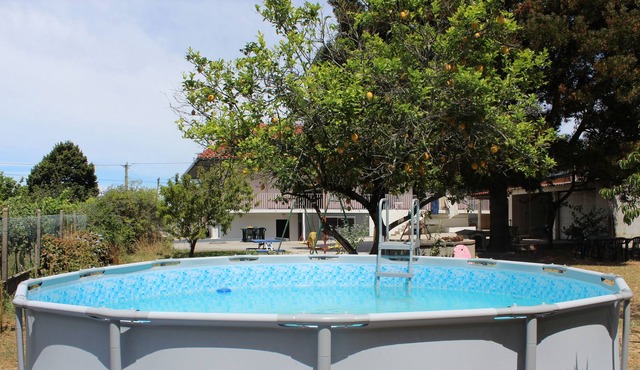 Fino Seixo, a spacious apartment with a large garden.