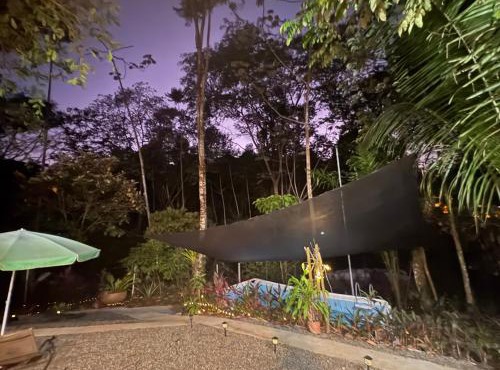 Flamingo Vacation House
