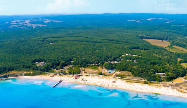 Forest Beach Hotel