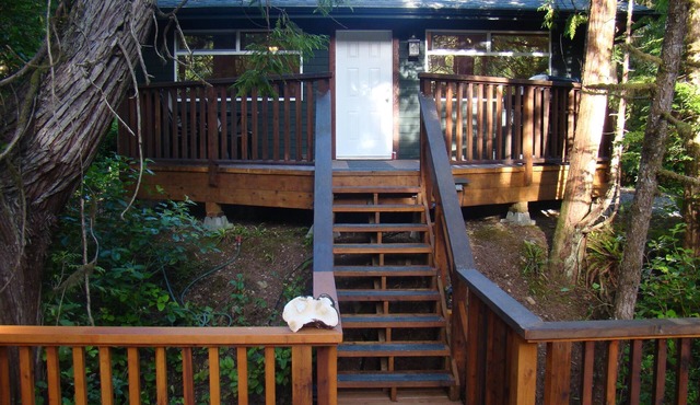Forest View Cabin located across from Cox Bay Beach
