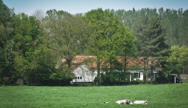 Geestmolenhof 1: relaxing in the green near Leuven, For business or vacation.