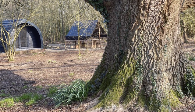 Glamping pod nestled deep within the South Downs National Park.