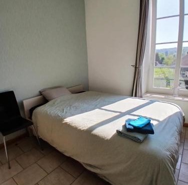 Grande chambre lumineuse au coeur de la Gaume - Chambre 4 - 1er étage