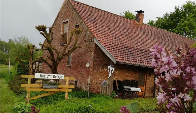 Het zevende geitje