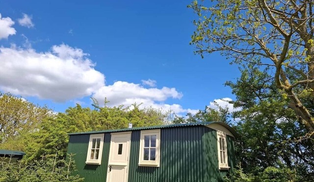 Hilltop Shepherds hut, hot tub & views of vineyard