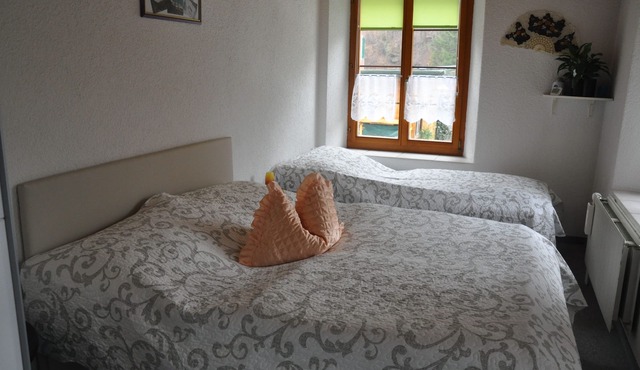 Holiday in the Glarnerland in the heart of nature Apartment 1 "Kaminzauber"