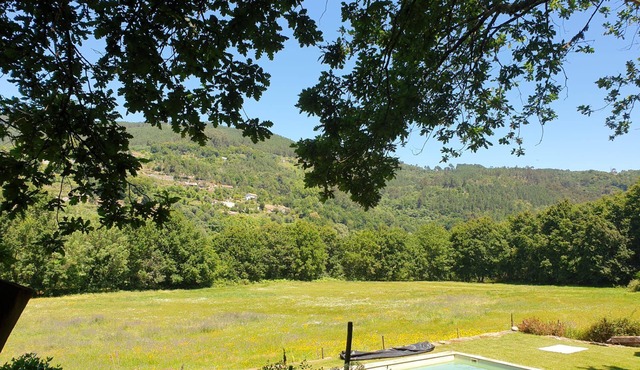 Home Beyond the River
