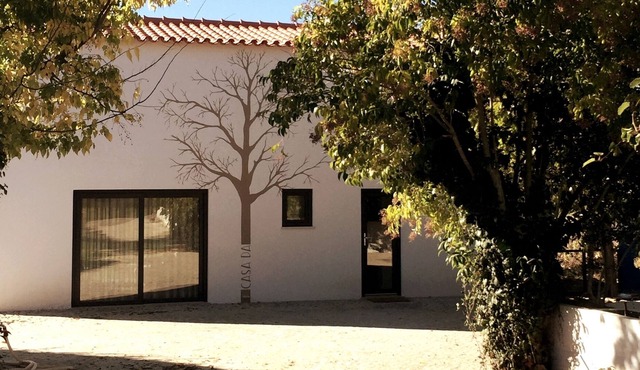 Horta dos Cedros - Casa da Árvore