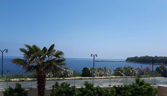 Hotel Elit