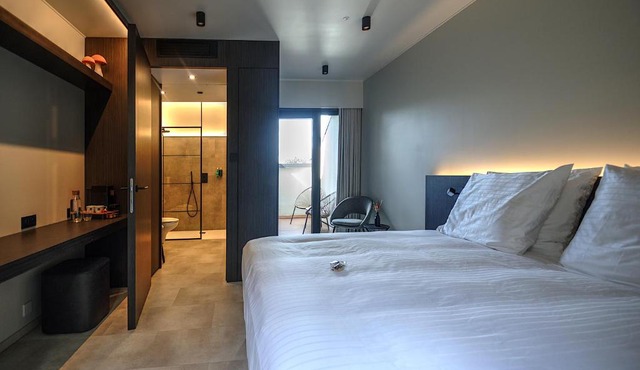 Hotel Hallensis