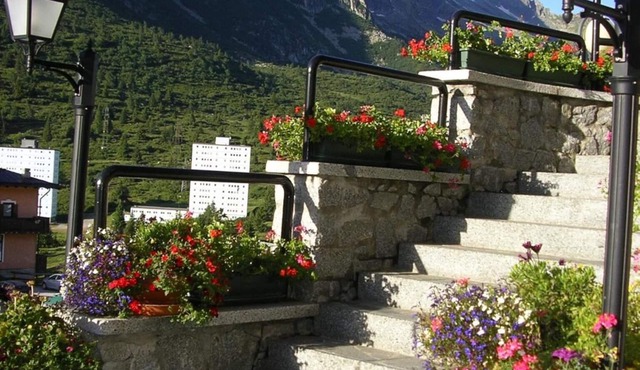 Hotel Orchidea