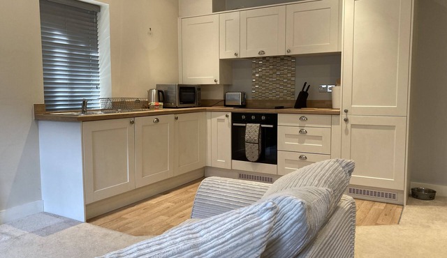 In the heart of the New Forest