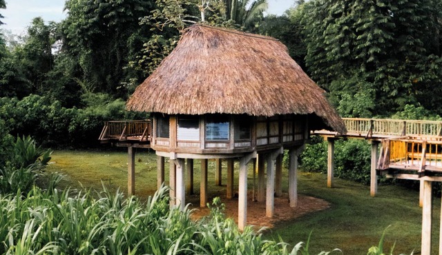Jade Jungle Resort