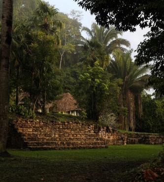 Jade Jungle Resort