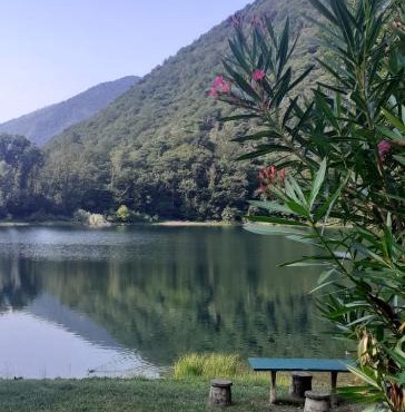 L’Angolino di MAGDA: on the lake-PRIVATE beach!