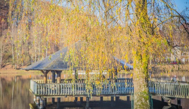 La Terrasse du Lac
