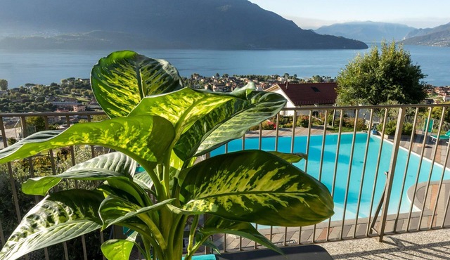 Lake Como - Residence La Collina - Coratina