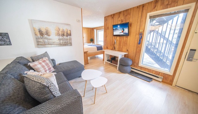 Large Summer Studio | Walk to Snake River/Village