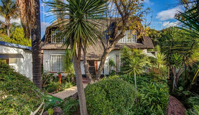 Lavender Villa - a little bit of nature in town