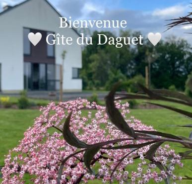 Le Daguet