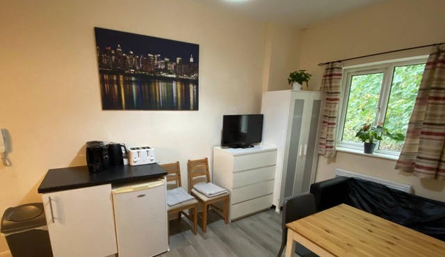 Lovely 1-Bedroom Serviced Apartment in London