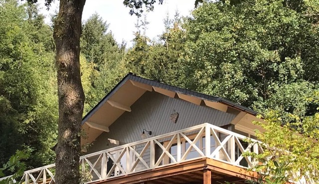 Luxe Chalet met Sauna en Hottub