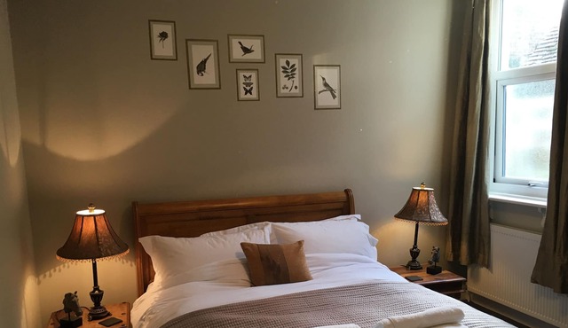 Luxury Apartment- Central Location