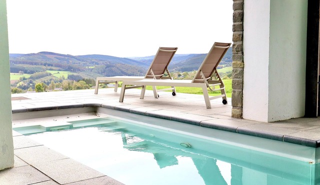Luxury house with a swimming pool and a sauna