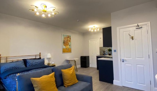 Luxury Studio Flat In London