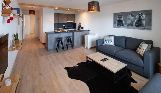 Magnificent apartment close to the center and skiing