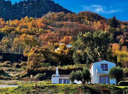 Marvão Country Houses - Queixos I
