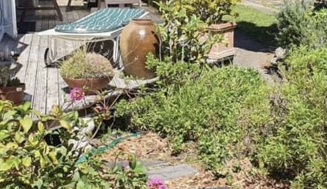 Miramar Bungalow, Wellington Garden Oasis