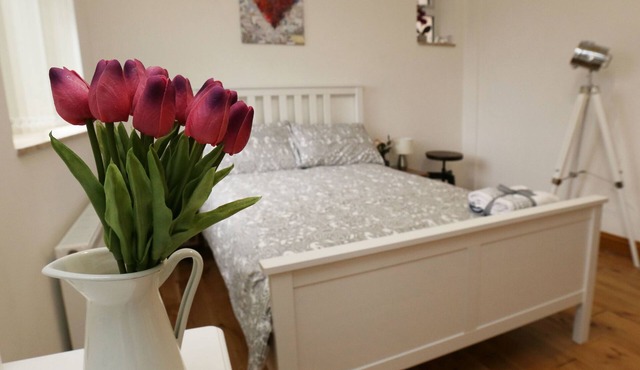 Modern Apartment "Woodship" Sleeps 7