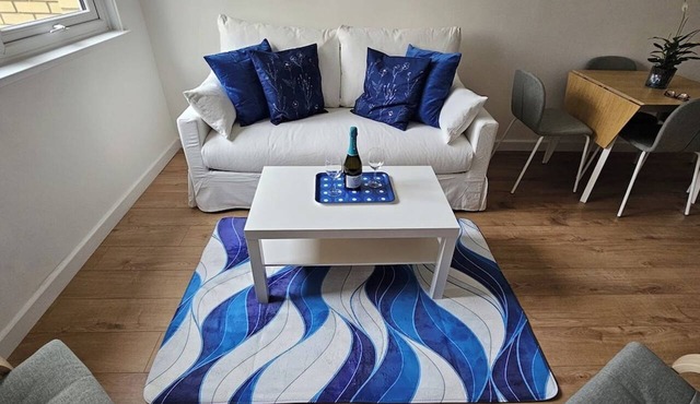 Modern Flat near Central London!