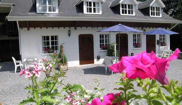 Nature Escape in Bohon