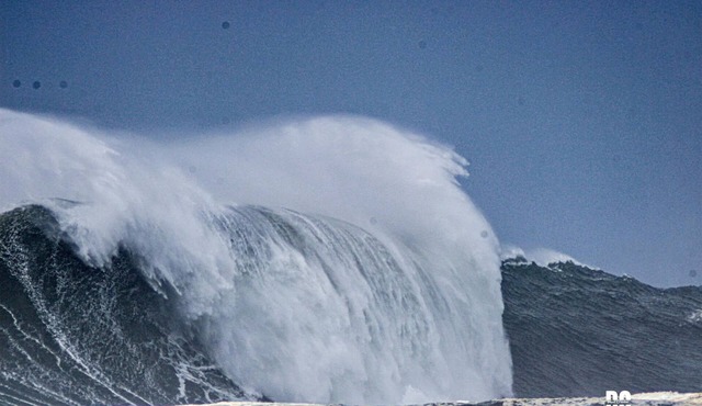 Nazaré 2p Studio WSL Experience 2026