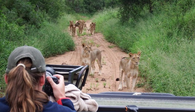 NDZUTI BUSH CAMP