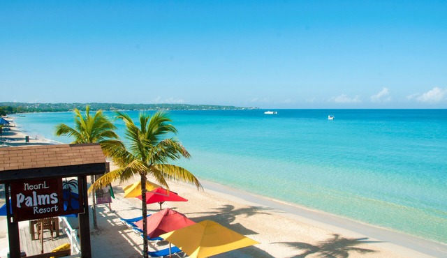 Negril Palms