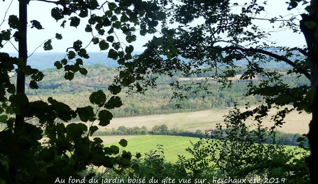 New house on the edge of a large forest, large garden,very quiet, beautiful area