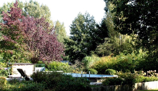 Nice bright studio in Rèves