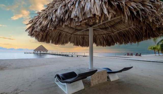 Oceanfront Dream – 1BR Villa in Placencia