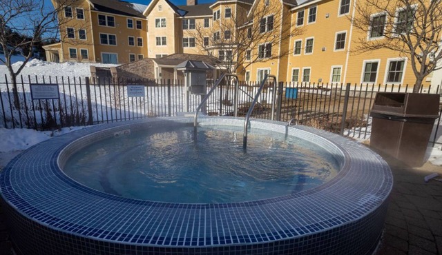 Okemo | Charming 1BR Condo + Close to Amenities