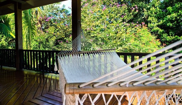 Panoramic Jungle View Suite w/Private Veranda, Infinity Pool, & WiFi