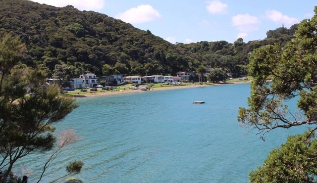 Parsloe's Cottage ~ Coromandel Town