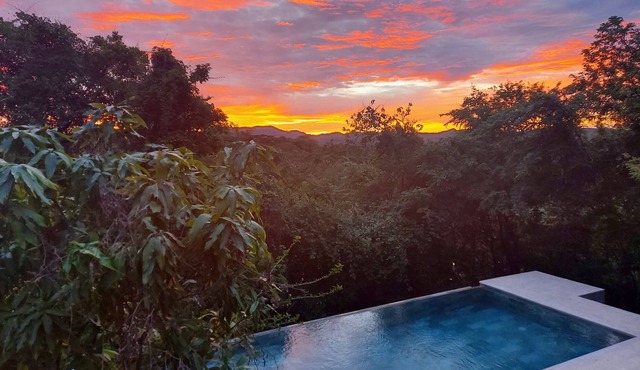Peaceful, entire first floor apartment with pool surrounded by wildlife