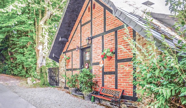 Pet friendly home in Waimes with WiFi