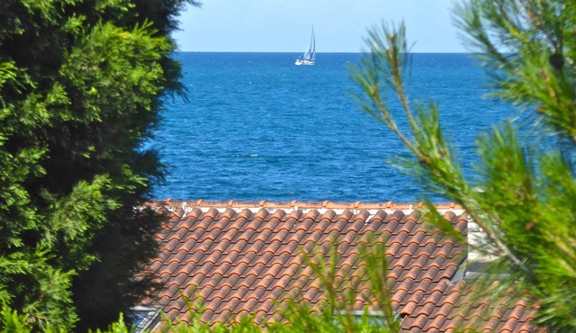 Pet-friendly vacation home right by the sea - last minute promotion 15% discount