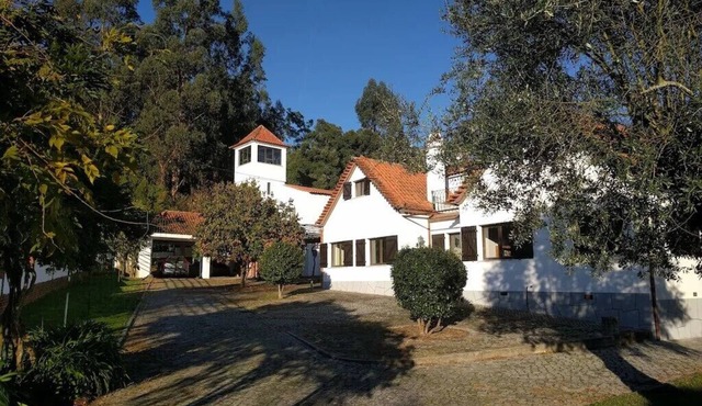 Quiet villa with large garden and private pool, central Portugal
