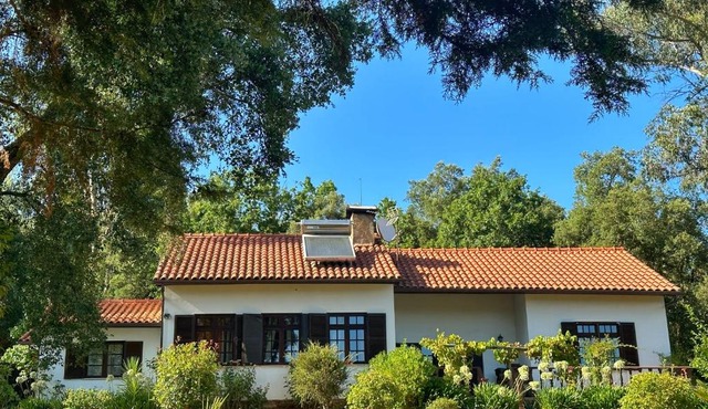 Quinta Do Pereiro